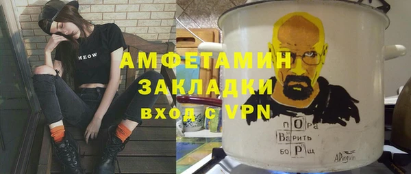 молекула духа Няндома