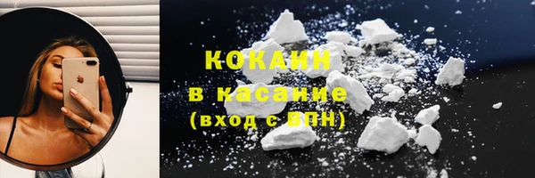 молекула духа Няндома