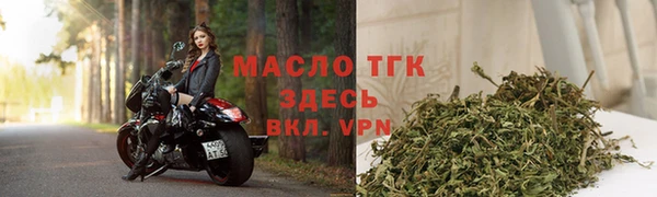 молекула духа Няндома
