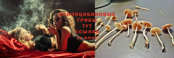 мефедрон мука Нефтекумск