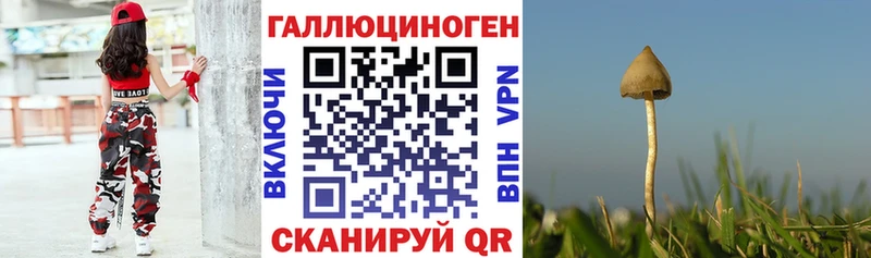 Псилоцибиновые грибы GOLDEN TEACHER  купить  сайты  kraken маркетплейс  Нариманов 